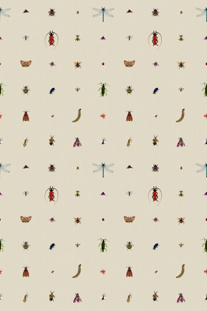 Insect Grid Wallpaper - Antique - Timorous Beasties - TB/GRID/MATT/01 - Premier Wallcovering