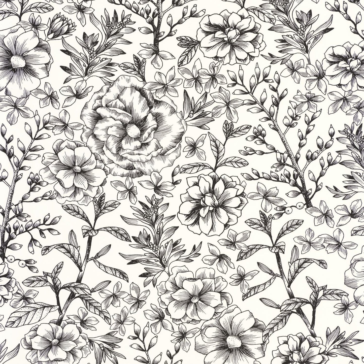 Jardin De Beauregard Wallpaper - Blanc Noir - Caselio - 103060913
