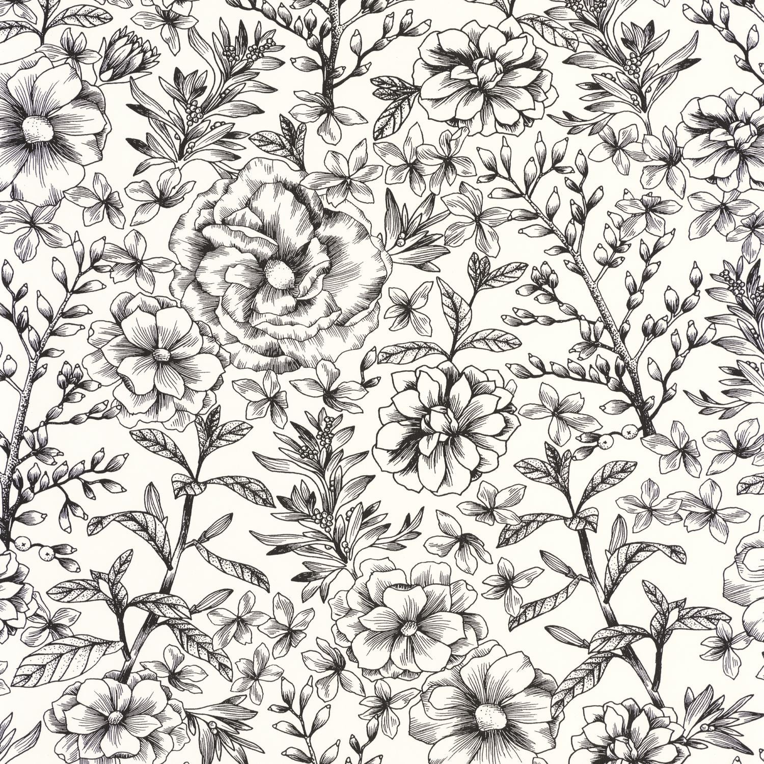 Jardin De Beauregard Wallpaper - Blanc Noir - Caselio - 103060913