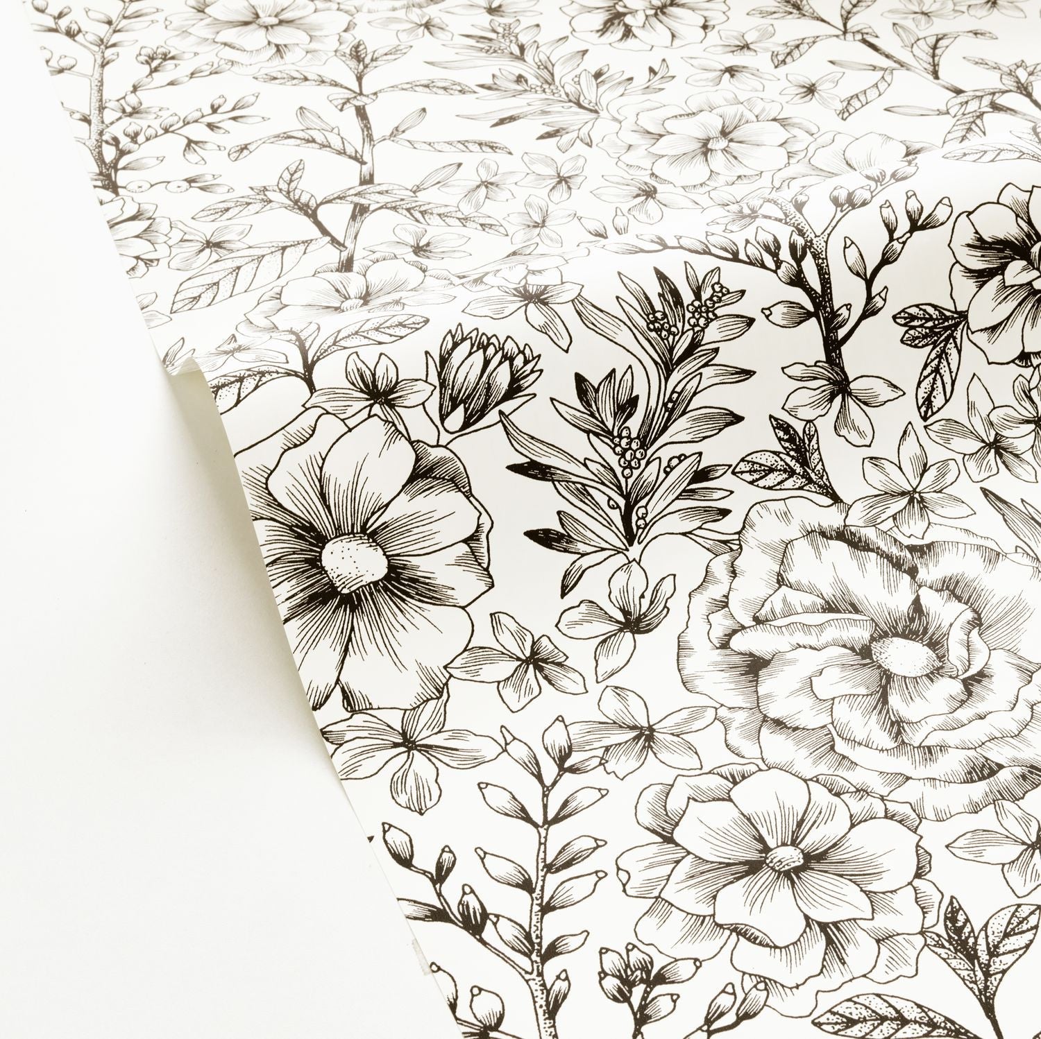 Jardin De Beauregard Wallpaper - Blanc Noir - Caselio - 103060913