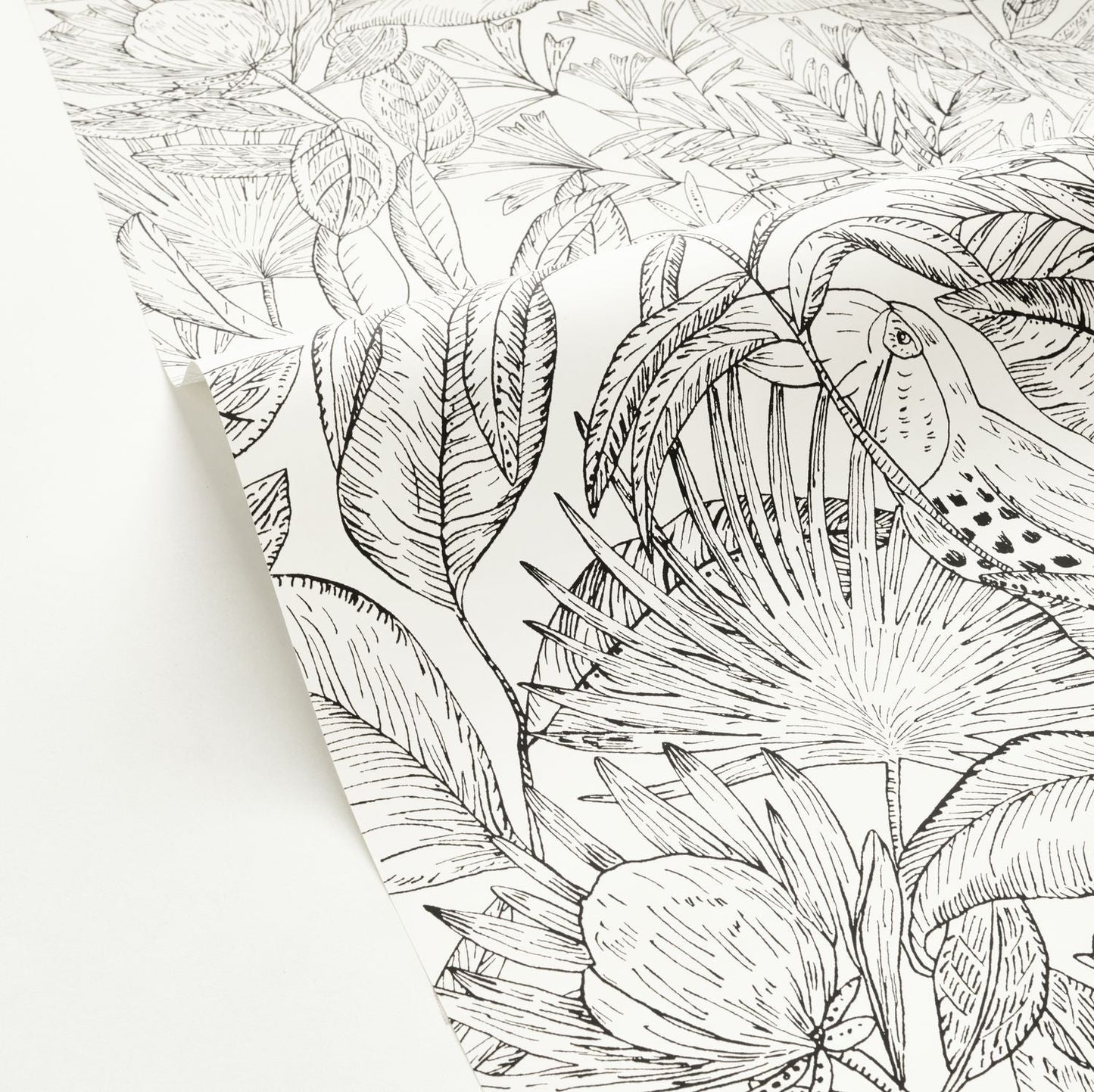 Jardin De Bel Air Wallpaper - Blanc Noir - Caselio - 103010199