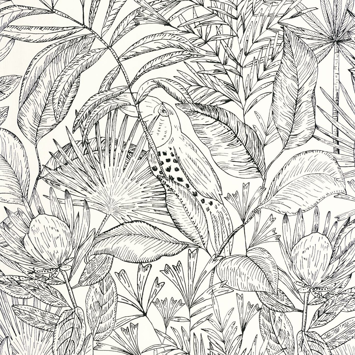 Jardin De Bel Air Wallpaper - Blanc Noir - Caselio - 103010199