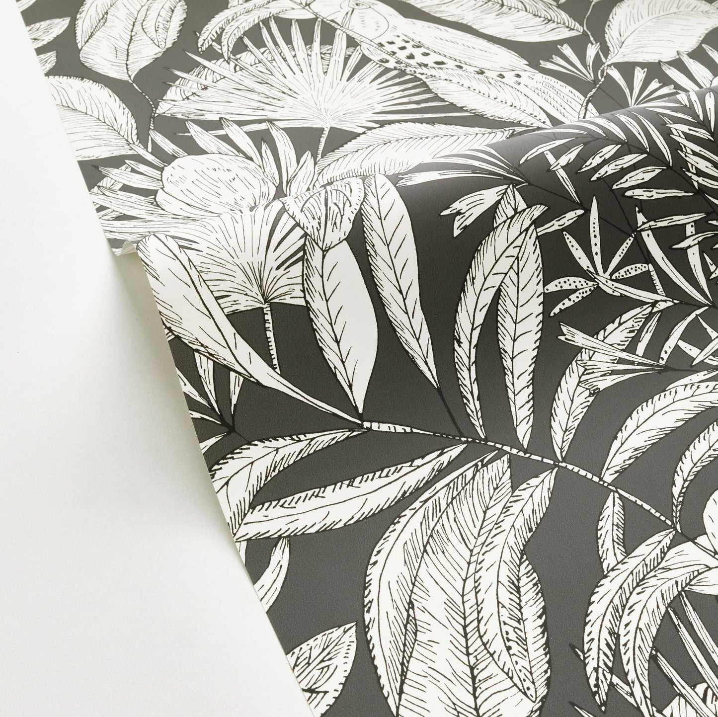 Jardin De Bel Air Wallpaper - Noir - Caselio - 103019039