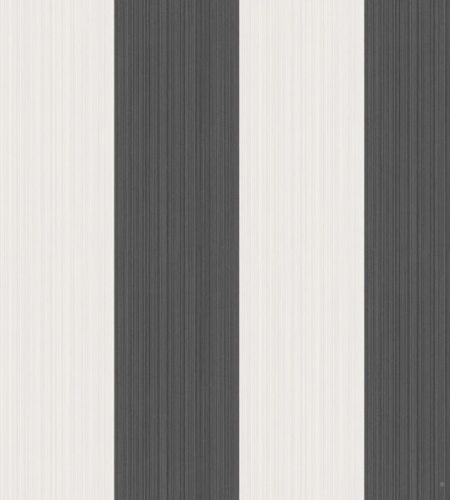 Jaspe Stripe Wallpaper - Soot & Snow - 110/4025 - Cole & Son - Premier Wallcovering