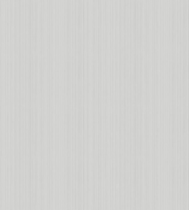 Jaspe Wallpaper - Silver - 106/3039 - Cole & Son - Premier Wallcovering