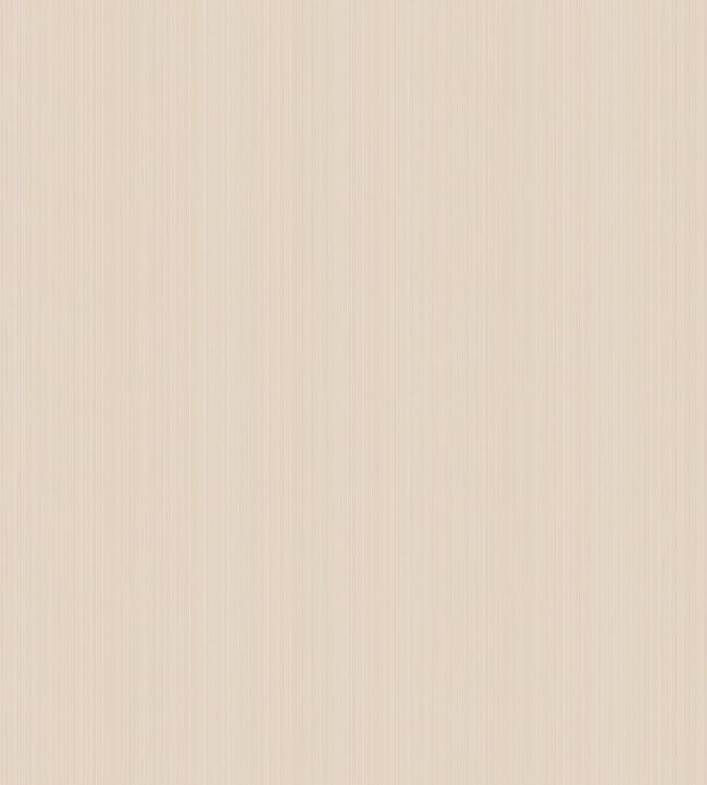 Jaspe Wallpaper - Mica Plaster Pink - 106/3049 - Cole & Son - Premier Wallcovering