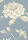 Jasper Peony Wallpaper - Celestial - Lewis & Wood - Premier Wallcovering