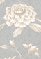 Jasper Peony Wallpaper - Smoke - Lewis & Wood - Premier Wallcovering