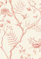 Jasper Peony Wallpaper - Rose - Lewis & Wood - Premier Wallcovering
