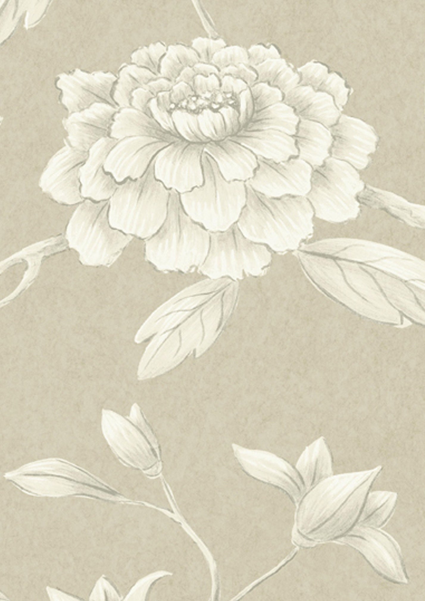 Jasper Peony Wallpaper - Parchment - Lewis & Wood - Premier Wallcovering