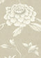 Jasper Peony Wallpaper - Parchment - Lewis & Wood - Premier Wallcovering