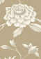 Jasper Peony Wallpaper - Ginger - Lewis & Wood - Premier Wallcovering