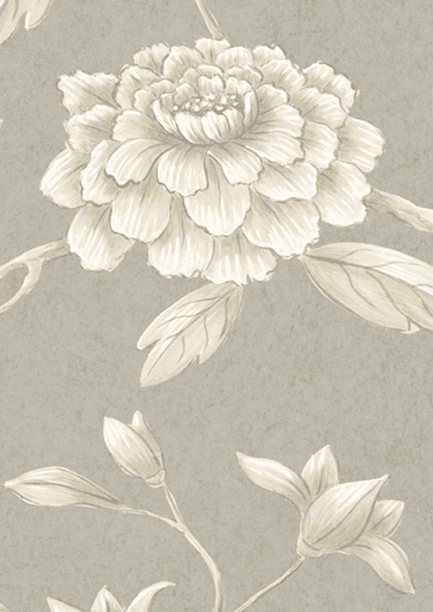 Jasper Peony Wallpaper - Pumice - Lewis & Wood - Premier Wallcovering
