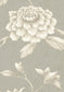 Jasper Peony Wallpaper - Pumice - Lewis & Wood - Premier Wallcovering