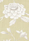 Jasper Peony Wallpaper - Mimosa - Lewis & Wood - Premier Wallcovering