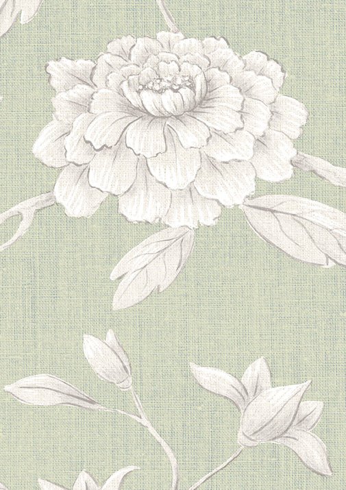 Jasper Peony Wallpaper - Eau de Nil - Lewis & Wood - Premier Wallcovering