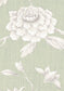 Jasper Peony Wallpaper - Eau de Nil - Lewis & Wood - Premier Wallcovering