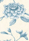 Jasper Peony Wallpaper - China Blue - Lewis & Wood - Premier Wallcovering
