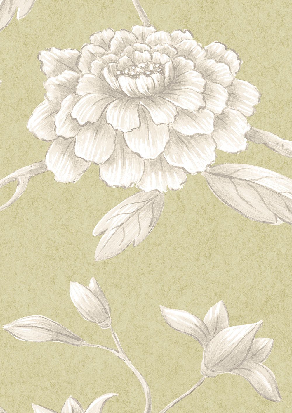 Jasper Peony Wallpaper - Beech - Lewis & Wood - Premier Wallcovering