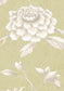 Jasper Peony Wallpaper - Beech - Lewis & Wood - Premier Wallcovering