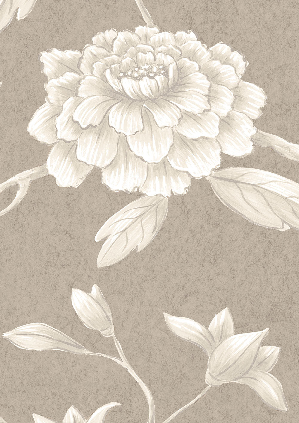 Jasper Peony Wallpaper - Casement - Lewis & Wood - Premier Wallcovering