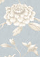 Jasper Peony Wallpaper - Cirrus - Lewis & Wood - Premier Wallcovering