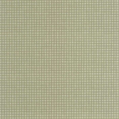 Jude Carnaby Street Wallpaper - Vert Amande - Casadeco - 200552090 - Premier Wallcovering