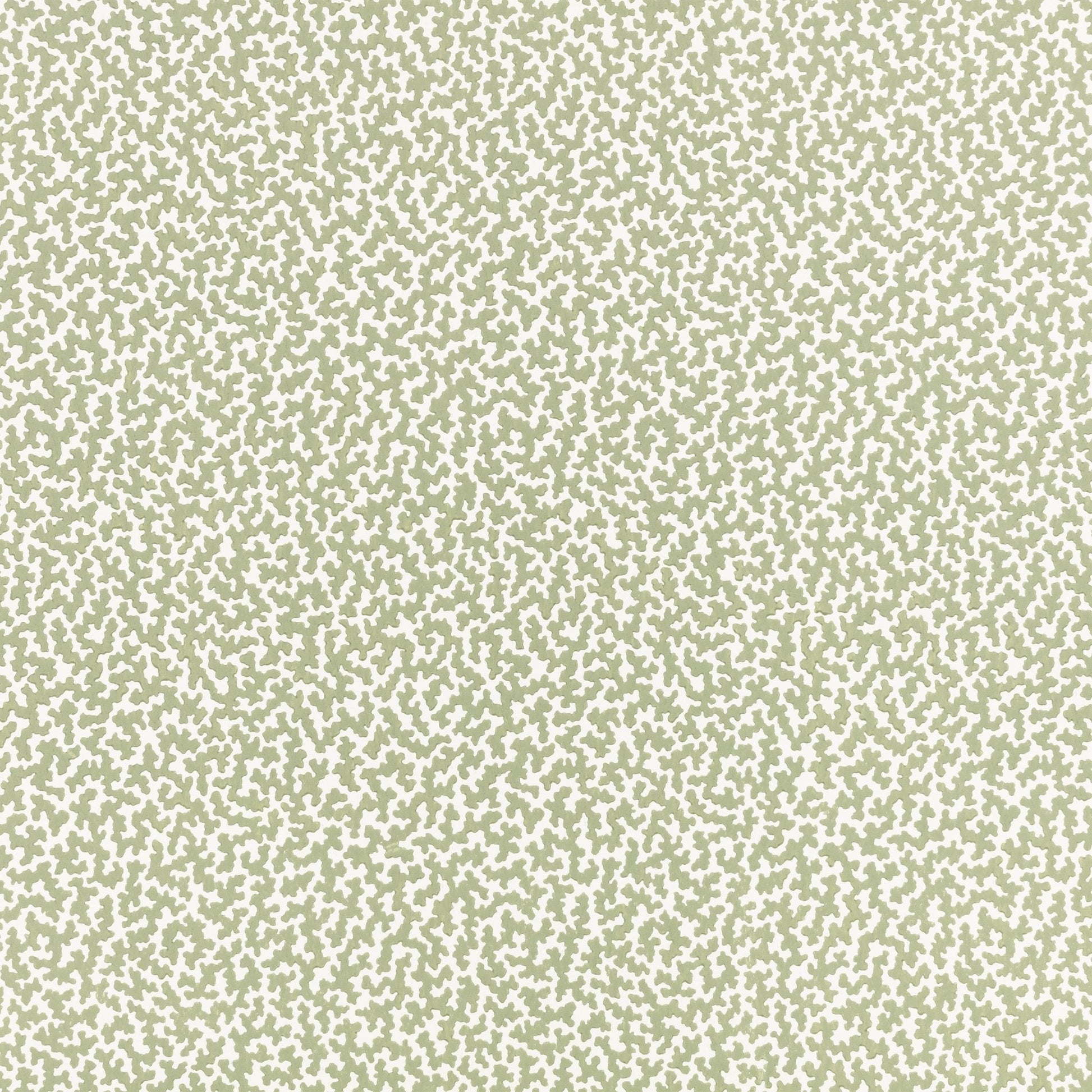 Junie Wallpaper - Aloe - Romo - Aubin - W476/06 - Premier Wallcovering