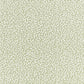 Junie Wallpaper - Aloe - Romo - Aubin - W476/06 - Premier Wallcovering