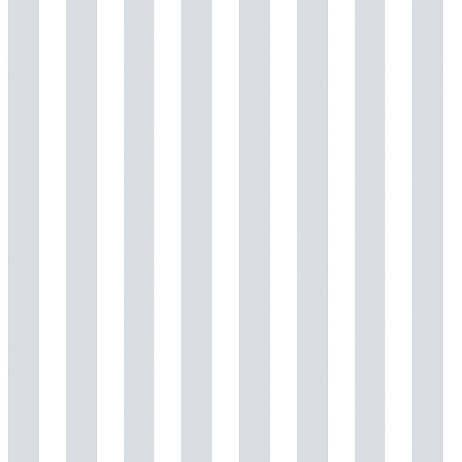 Just 4 Kids 2 Stripe Wallpaper - Deep Grey / White - Galerie - G56517 - Premier Wallcovering