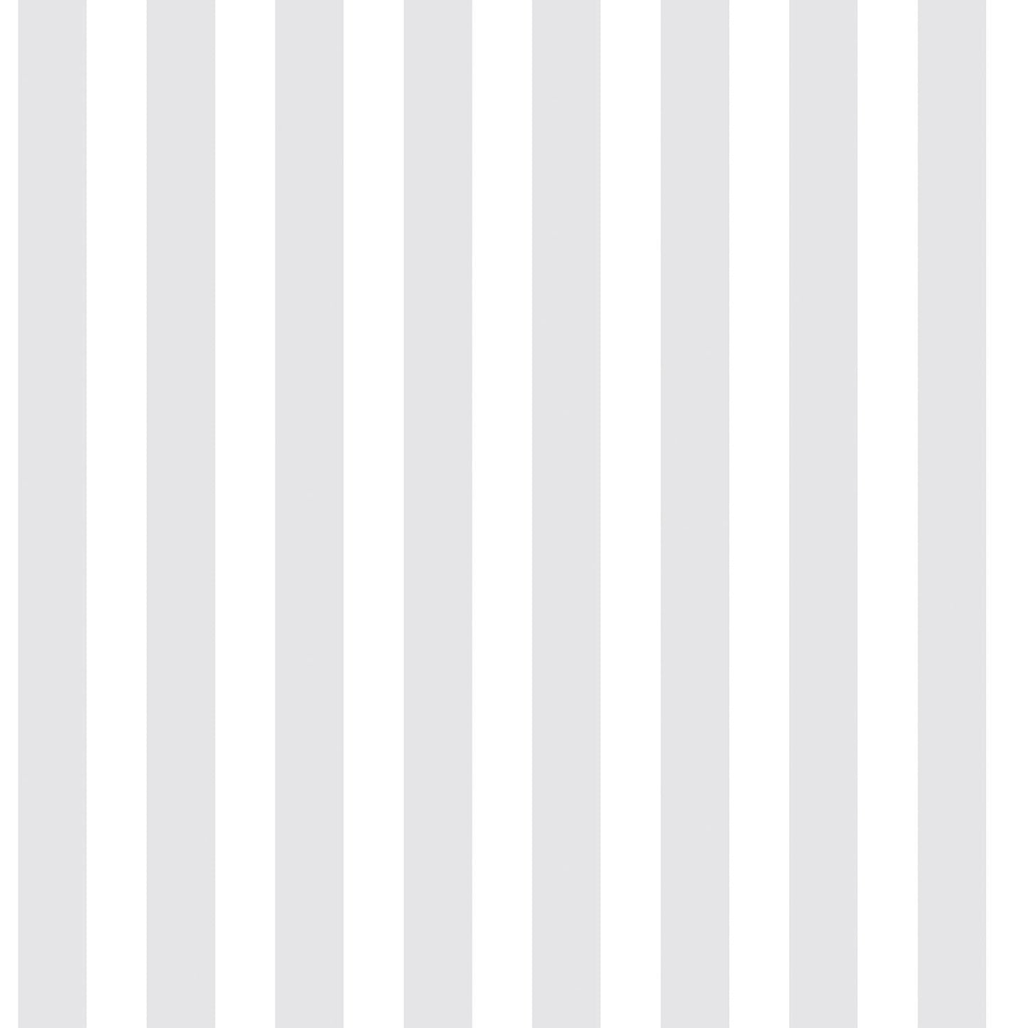 Just 4 Kids 2 Stripe Wallpaper - Light Grey / White - Galerie - G56519 - Premier Wallcovering