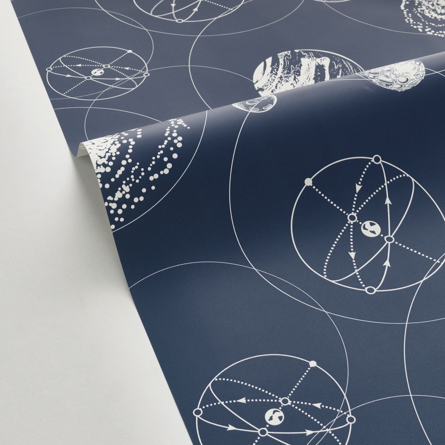 Just Fly Wallpaper - Bleu Nuit - Caselio - 103259124