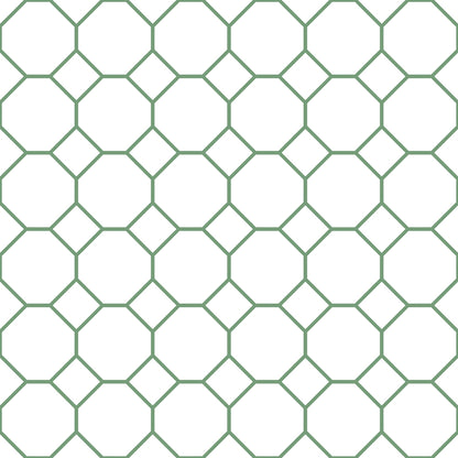 Just Kitchens Bee Hive Wallpaper - Green / White - Galerie - G45402 - Premier Wallcovering