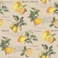 Just Kitchens Citron Botanical Wallpaper - Taupe - Galerie - G45410 - Premier Wallcovering