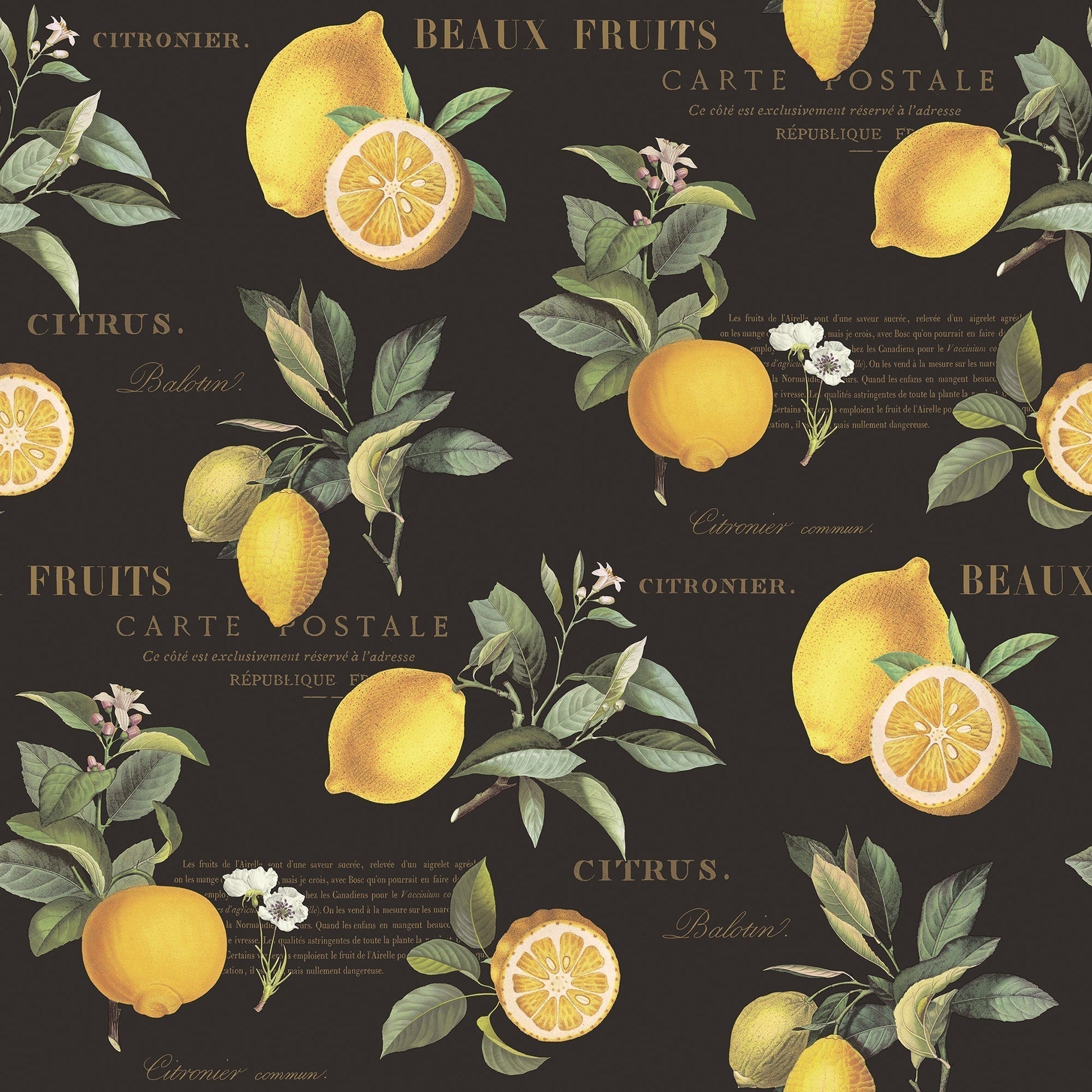 Just Kitchens Citron Botanical Wallpaper - Black / Yellow - Galerie - G45411 - Premier Wallcovering