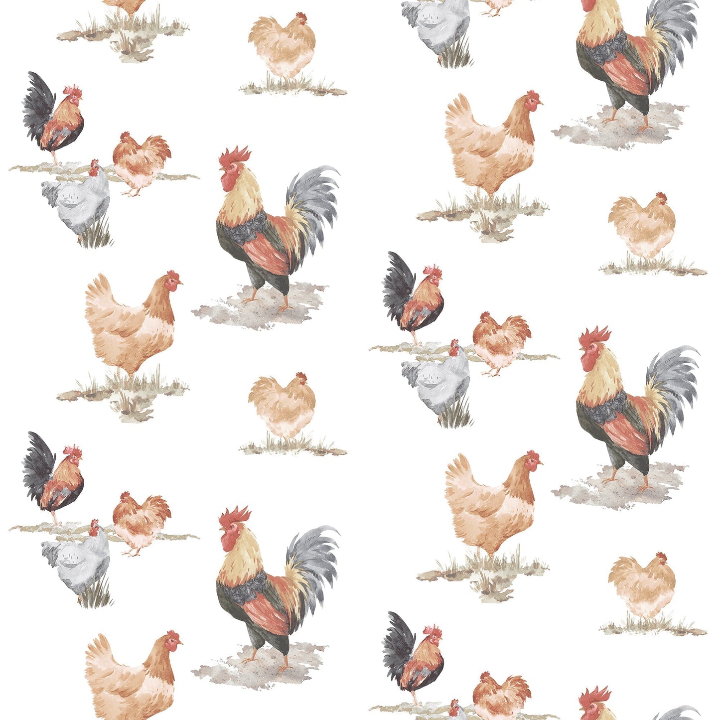 Just Kitchens Free Range Wallpaper - Black / Red / Beige - Galerie - G45415 - Premier Wallcovering