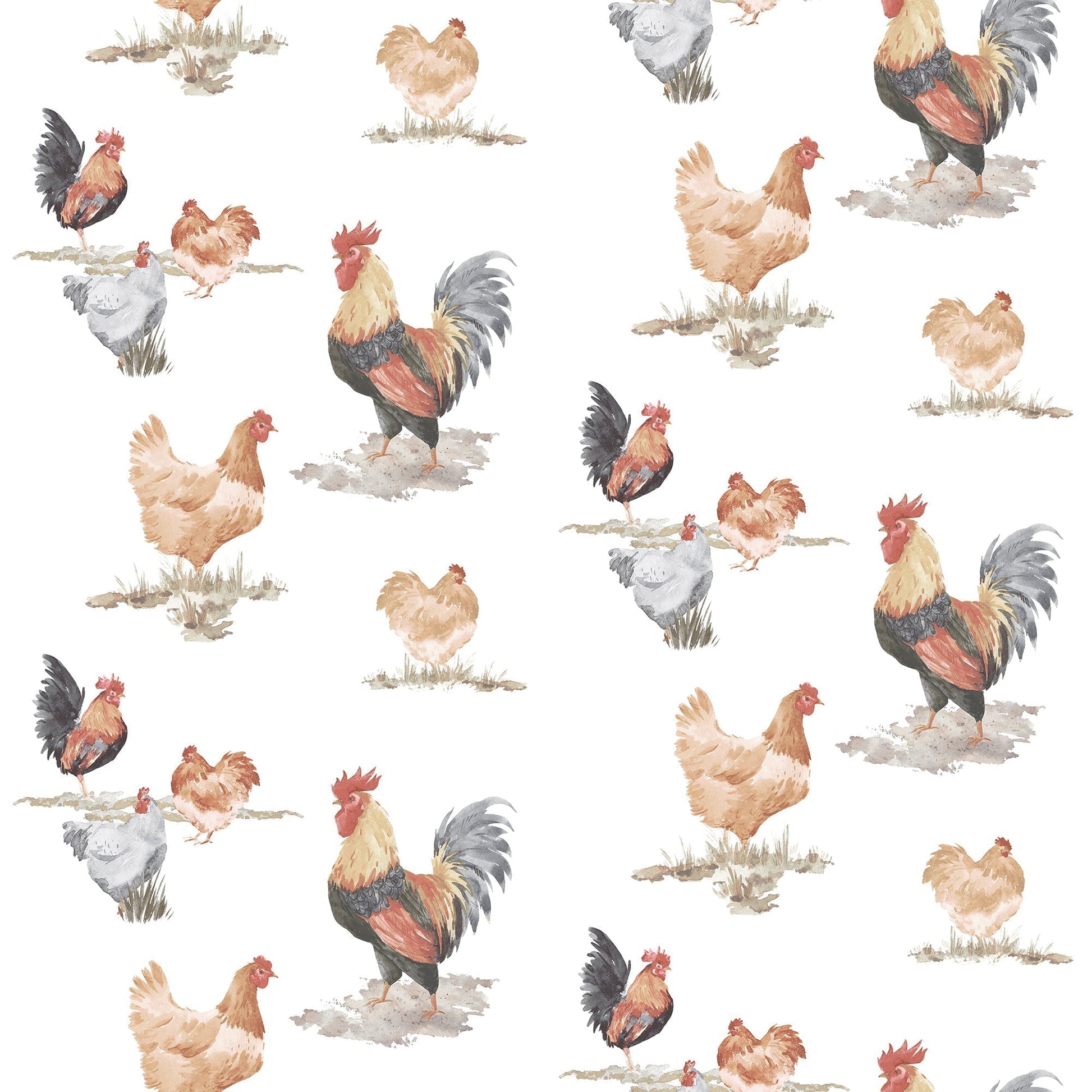 Just Kitchens Free Range Wallpaper - Black / Red / Beige - Galerie - G45415 - Premier Wallcovering