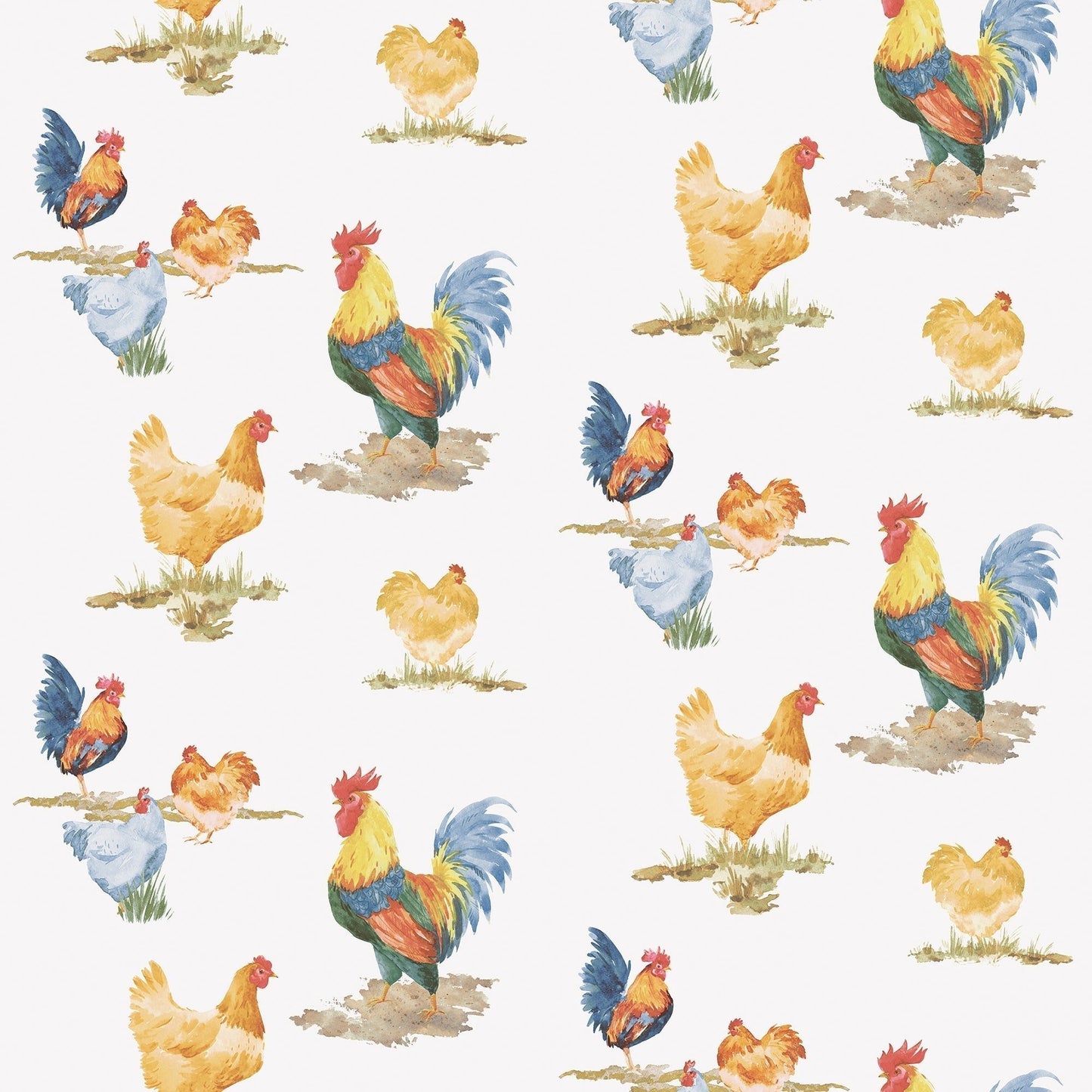 Just Kitchens Free Range Wallpaper - Blue / Yellow / Red - Galerie - G45416 - Premier Wallcovering