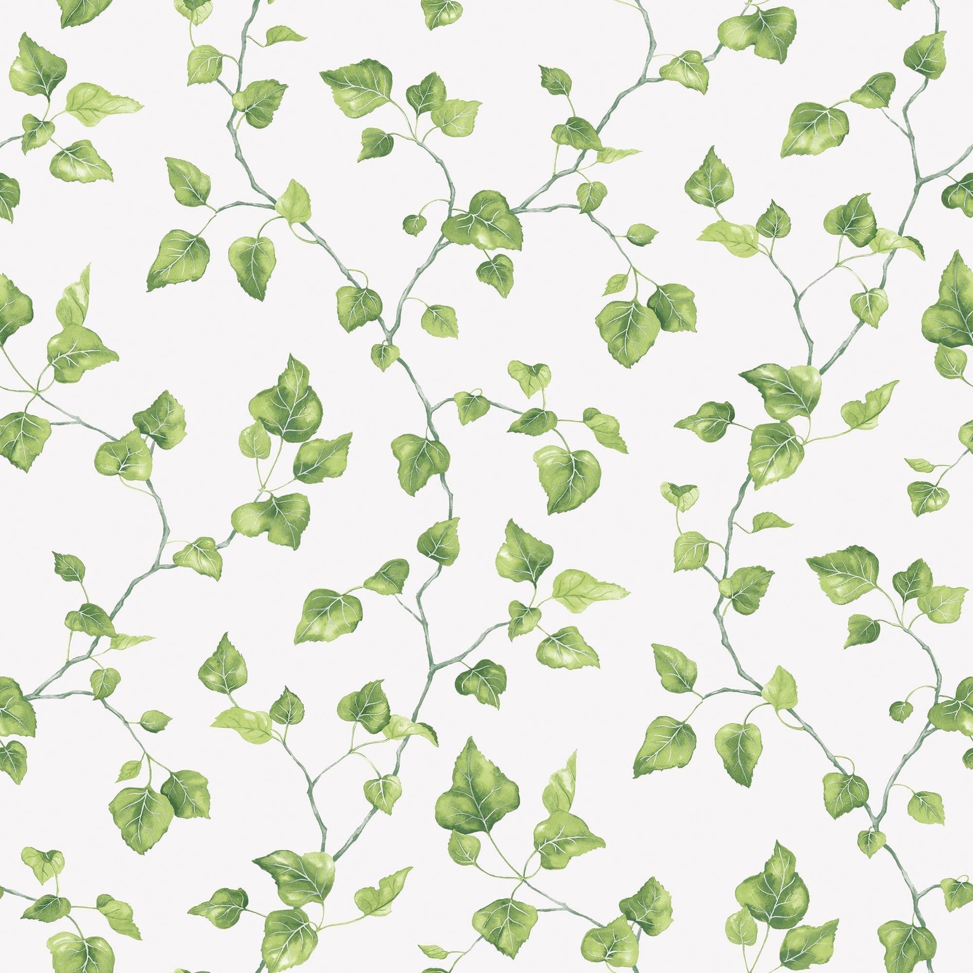 Just Kitchens Ivy Wallpaper - Green / White - Galerie - G45431 - Premier Wallcovering