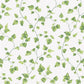 Just Kitchens Ivy Wallpaper - Green / White - Galerie - G45431 - Premier Wallcovering