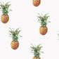 Just Kitchens Pineapples Wallpaper - White - Galerie - G45453 - Premier Wallcovering