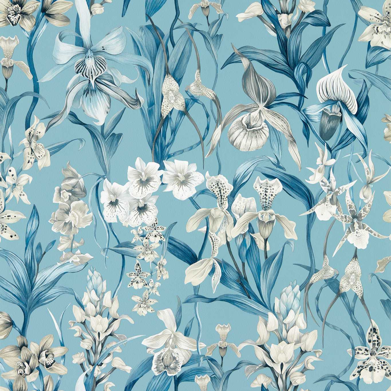 Kalina Wallpaper - Celestial/Murmuration/Awakening - HC4W113008 - Harlequin - Premier Wallcovering
