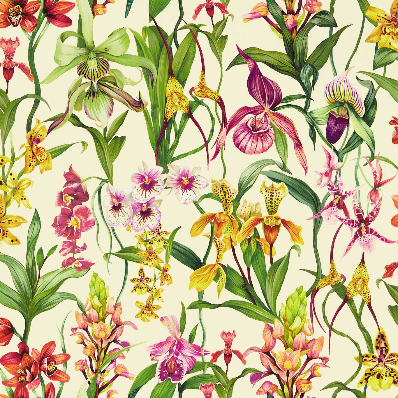Kalina Wallpaper - Parchment/Forest/Azalea - Harlequin - HC4W113009