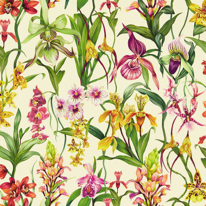 Kalina Wallpaper - Parchment/Forest/Azalea - Harlequin - HC4W113009