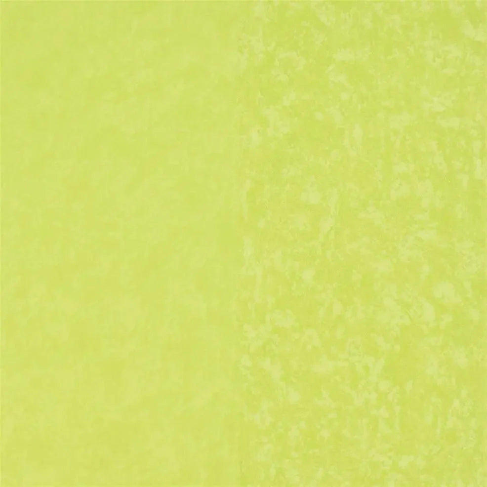 Kalpana Wallpaper - Lime - P576/14 - Designers Guild