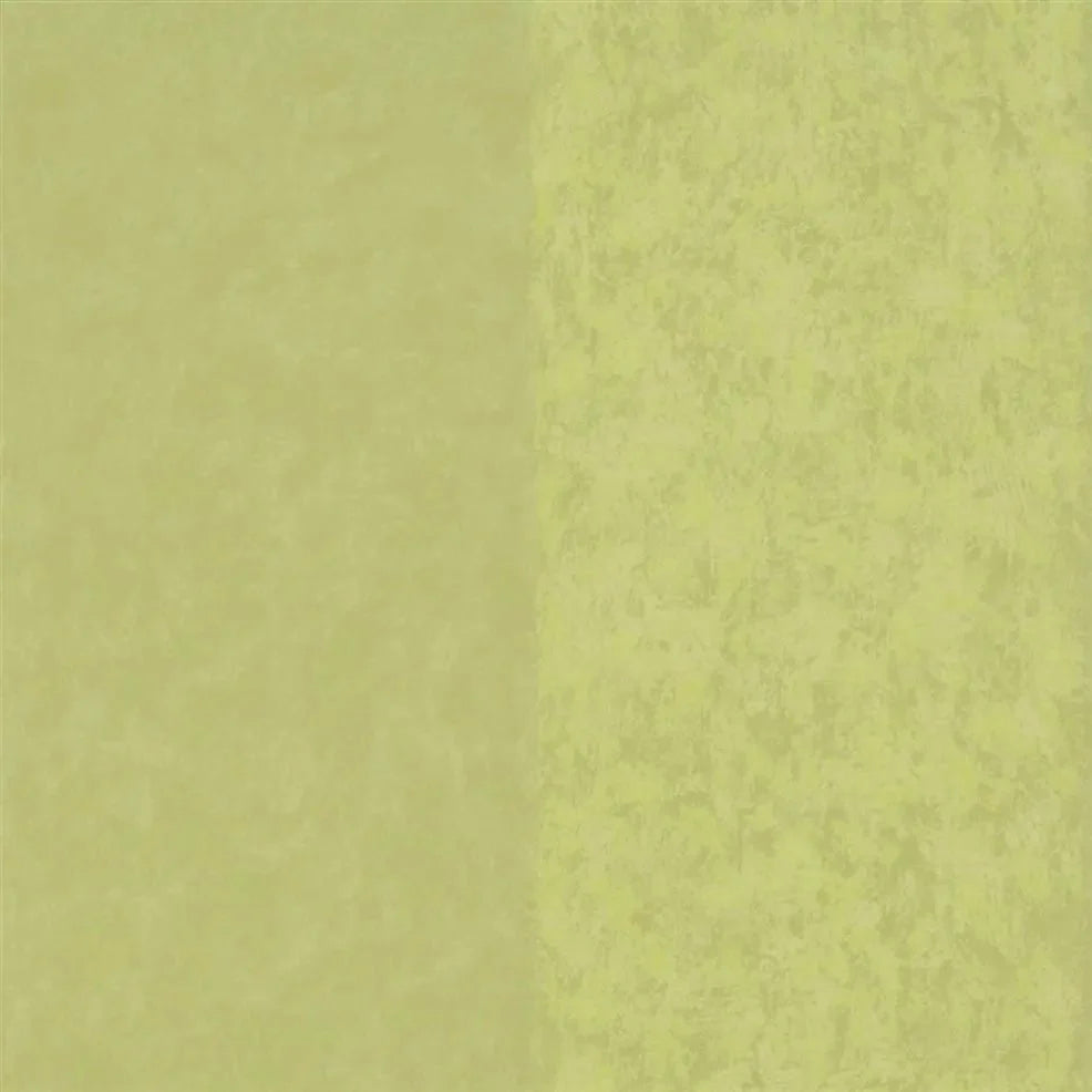 Kalpana Wallpaper - Moss - P576/15 - Designers Guild