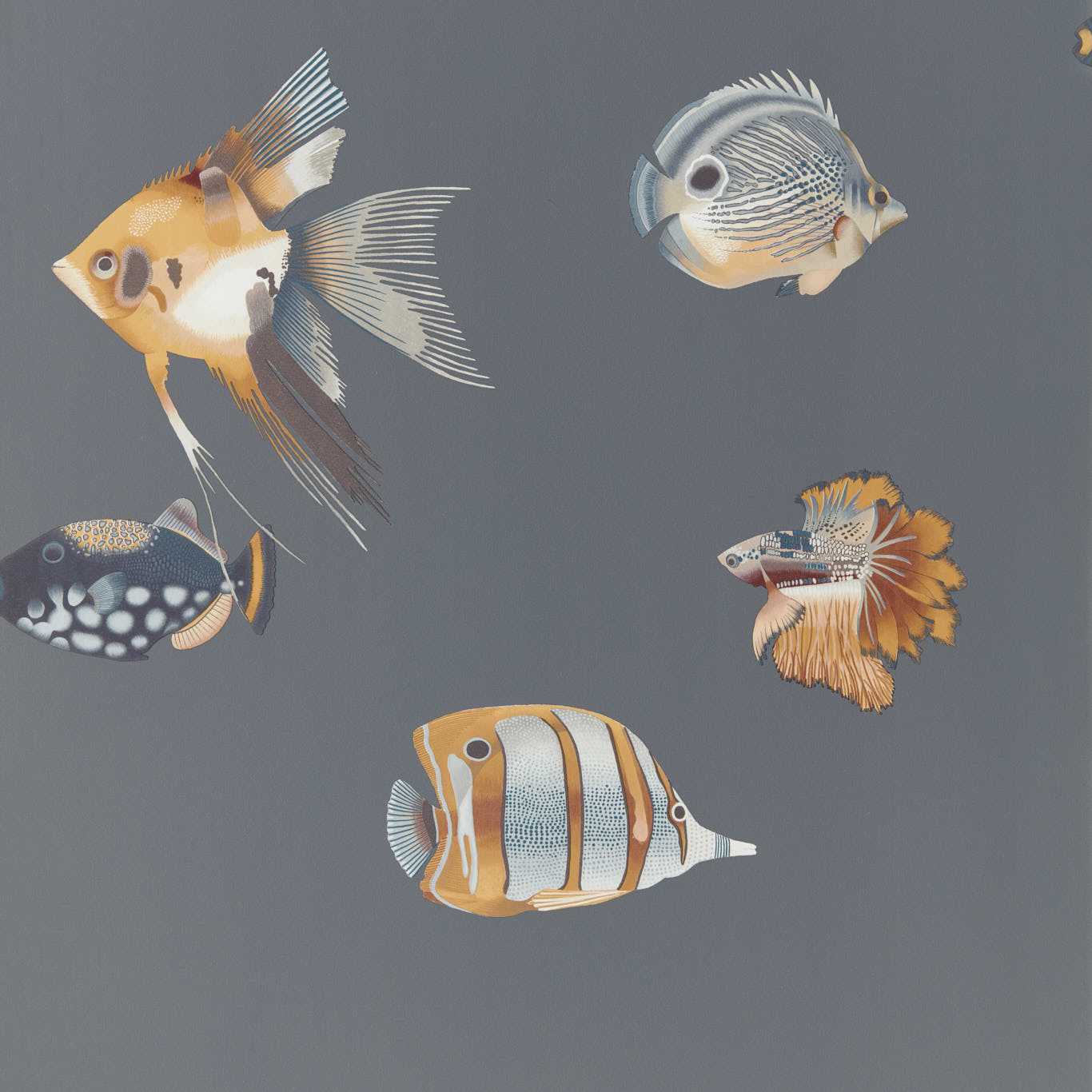 Kamanu Wallpaper - Amber/Slate - Harlequin - HANZ111648