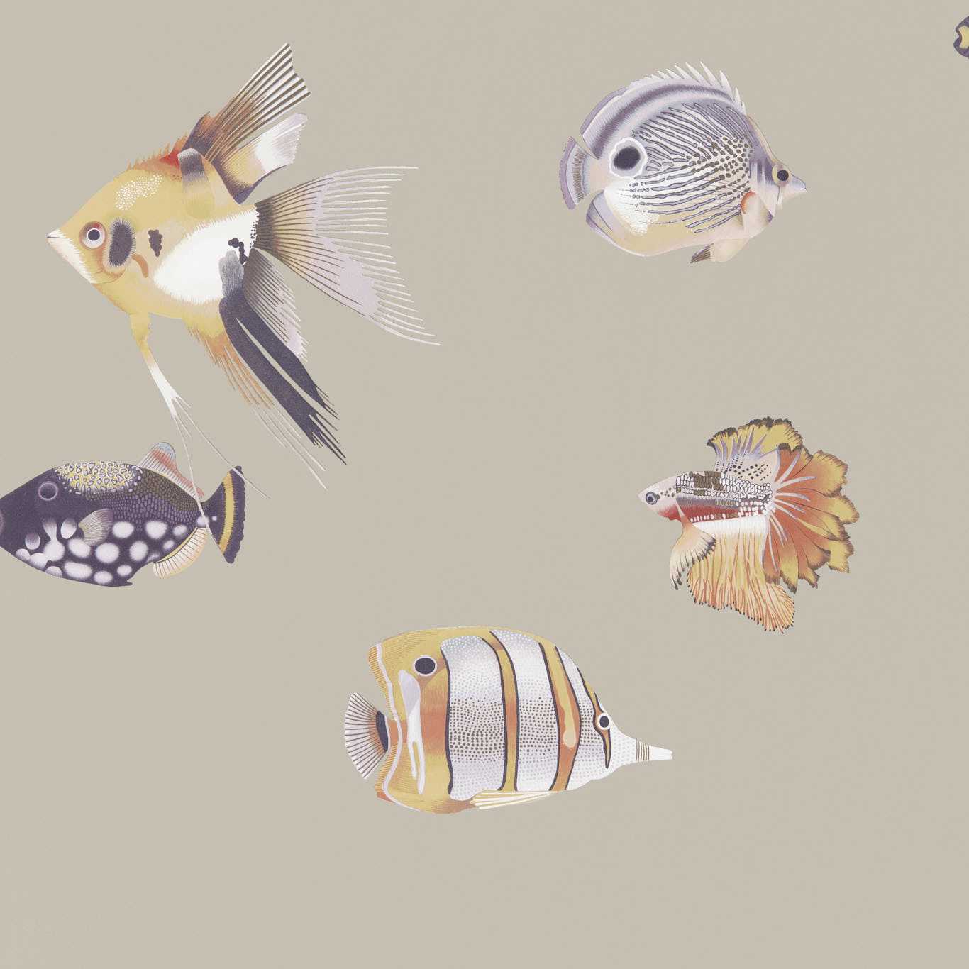 Kamanu Wallpaper - Mandarin/Fig - Harlequin - HANZ111647