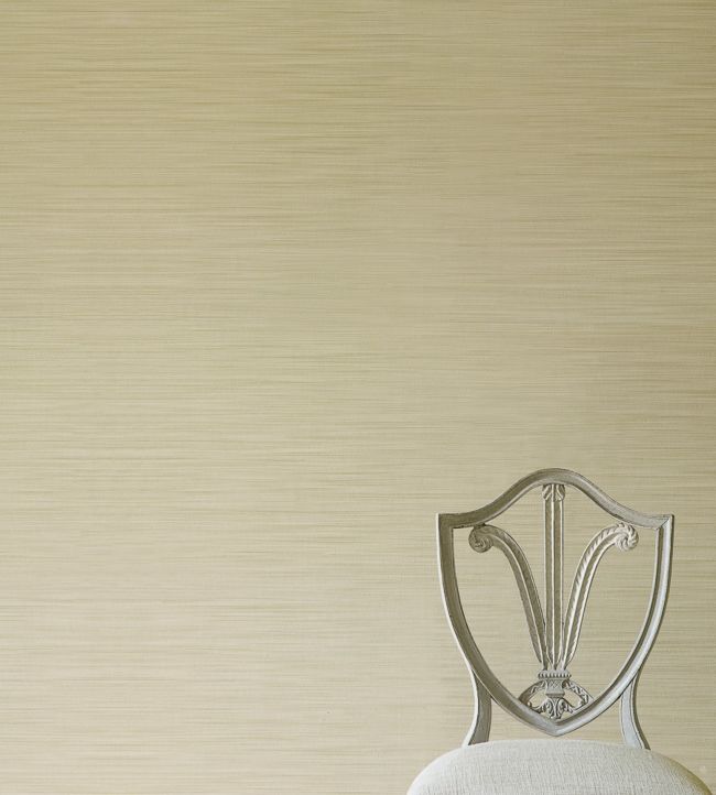 Kenton Wallpaper - Silver - Colefax & Fowler - 07170/04 - Premier Wallcovering