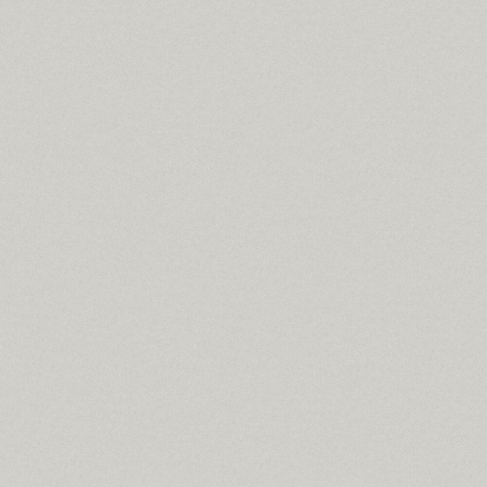 Kim Wallpaper - Mouse Grey - Boråstapeter - 38703 - Premier Wallcovering